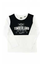 White-and-navy blue long-sleeved T-shirt, Timberland