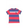 Cotton boys t-shirt striped horizontally navy-blue-and-burgundy, Polo Ralph Lauren