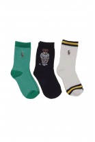 Colorful boys' socks, 3-pack, Polo Ralph Lauren