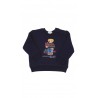 Navy hoodie with a large Bear print, Polo Ralph Lauren
