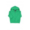 Green hooded sweatshirt, Polo Ralph Lauren