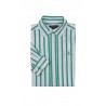 Smart boys' shirt in green wide stripes, Polo Ralph Lauren